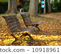 Late Autumn Park 10918961