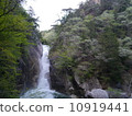 瀑布 10919441