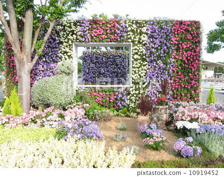 Wall greening　 10919452