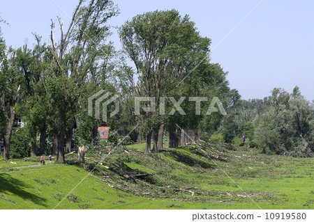 Storm damage Storm damage 10919580
