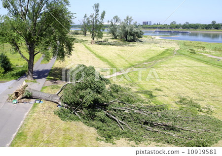 Storm damage 10919581
