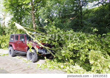 Storm damage 10919583