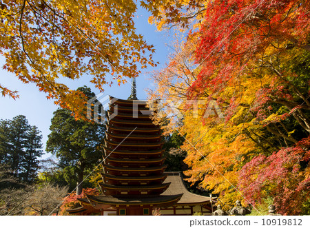 Choyama shrine autumn leaves 10919812