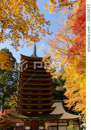 Choyama shrine autumn leaves 10919813