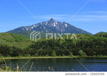 從Otatomari沼澤渴望的利尻山 10920584