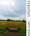 Landscape with poppies 10920832