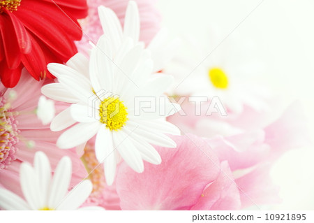 Bouquet Bouquet 10921895