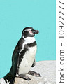 Penguin Penguin Summer 10922277