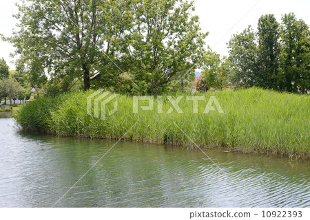吉原的風景 吉原的風景 10922393