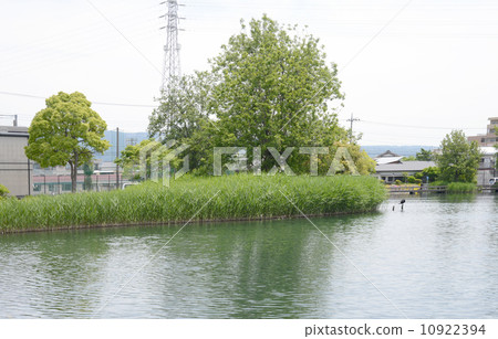 吉原的風景 10922394