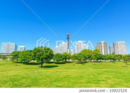 Lincoln Park (Minatomirai Nishi-ku, Yokohama City) 10922528