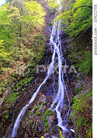 Fresh green and Maru god waterfall Fresh green and Maru god waterfall 10922708