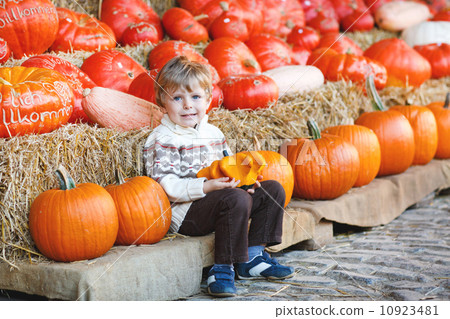 Little blond boy on pumpkin patch farm. 10923481