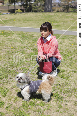 Shih Tzu dog and a young lady 10923861