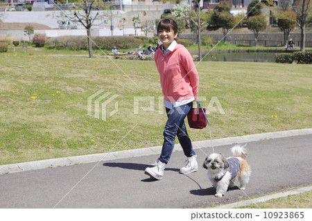 Shih Tzu dog and a young lady 10923865