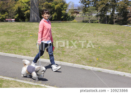 Shih Tzu dog and a young lady 10923866