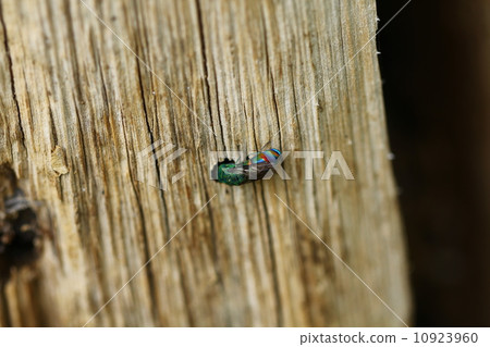 Mutubasayiba Mutubasayiba 10923960