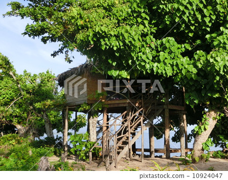 薩摩亞的樹屋 10924047