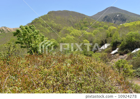 萬代山1新鮮綠色 10924278