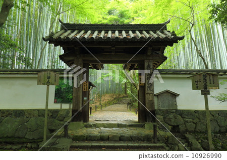 京都Jizoin的山門 京都Jizoin的山門 10926990