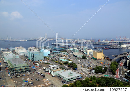 山下碼頭和海灣大橋 10927337