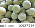 Plum fruit 10927536