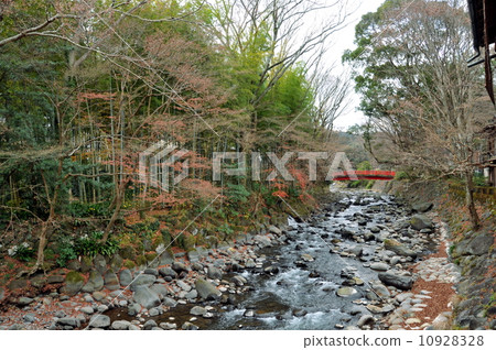 Autumn leaves of Shizuoka prefecture Nakaizu Shuzenji Autumn leaves of Shizuoka prefecture Nakaizu Shuzenji 10928328