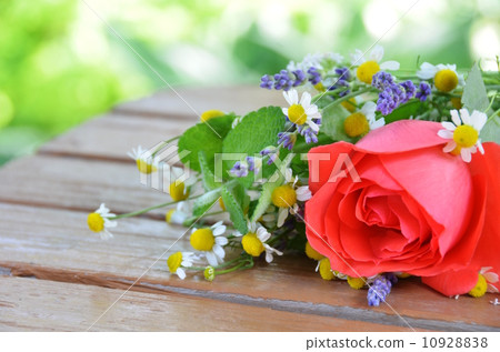 Herbs and roses Herbs and roses 10928838