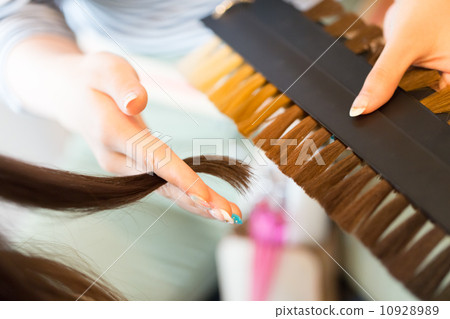 比色圖表 染髮劑 造型師 10928989