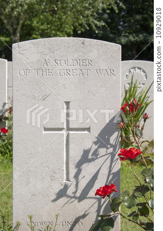 A soldier of the great war WW1 10929018