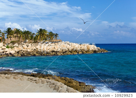 Mexico, park of Shkaret. .Rock with palm trees on Oceanside. Mexico, park of Shkaret. .Rock with palm trees on Oceanside. 10929923