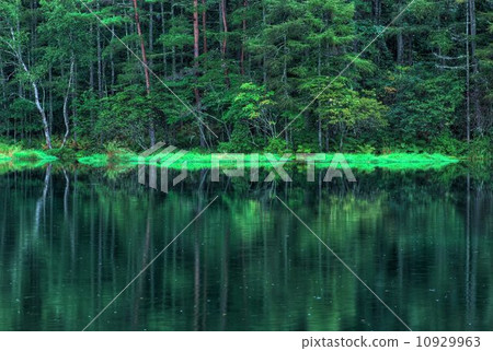鯊魚池塘HDR 鯊魚池塘HDR 10929963