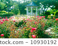 Hill park with a view of the harbor 10930192
