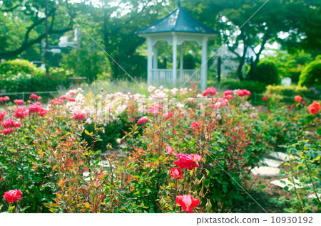 Hill park with a view of the harbor Hill park with a view of the harbor 10930192