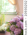  hydrangea 10930202