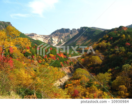 秋季流浪者3 10930984