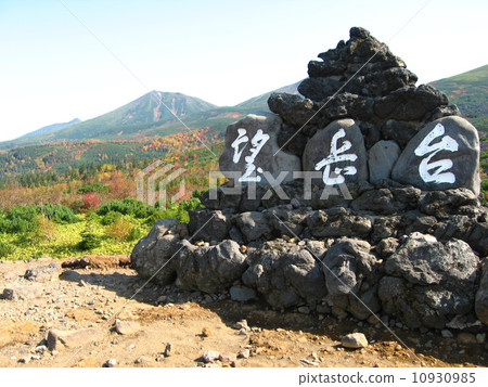 秋季流浪者2 秋季流浪者2 10930985