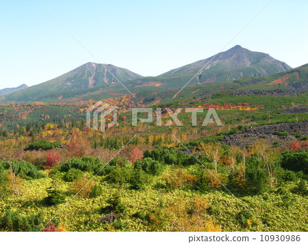 秋天的秋天大廳 10930986