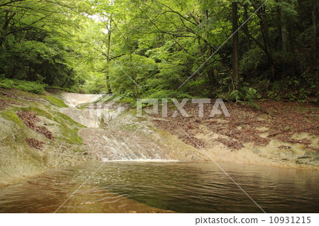 Healing forest 10931215