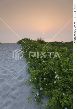 Road to the sea 10931498