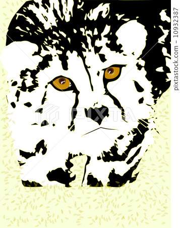 Iran cheetah (Asian cheetah), 10932387