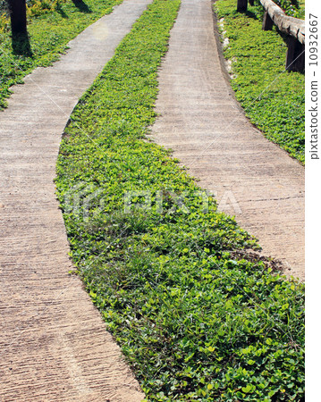 Paths through the park Paths through the park 10932667