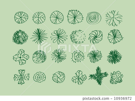 Trees top view for architecture landscape design projects 10936972