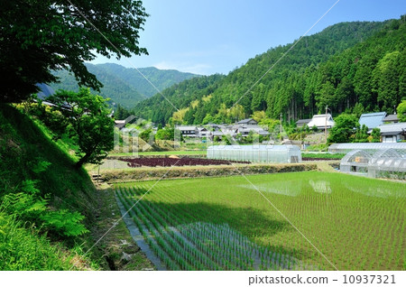 Rokkoku Ohara鄉村景觀 10937321