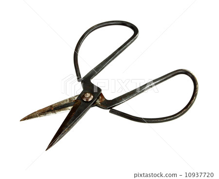 Old rusty scissors isolated on white 10937720