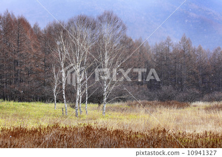 Plateau in Japan 10941327