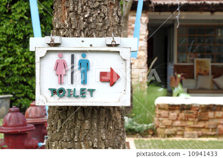 toilet sign on the tree toilet sign on the tree 10941433