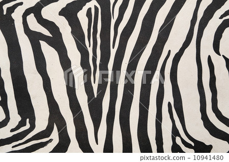 background with zebra texture background with zebra texture 10941480
