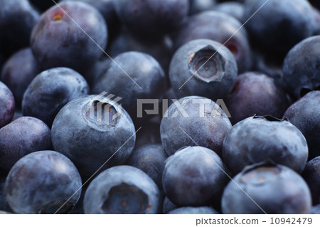 Blueberry 10942479