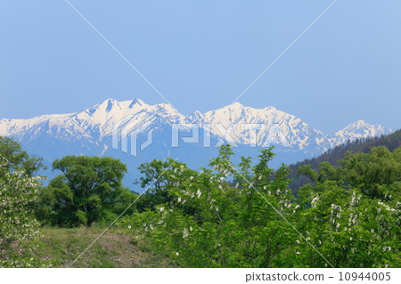 安曇野之春 10944005